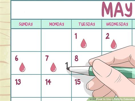 3 Ways to Use a Fertility Calendar - wikiHow