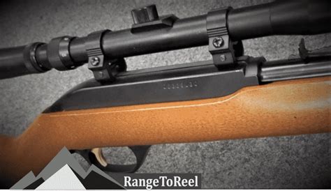 The Best Scope For Marlin Model 60 - RangetoReel