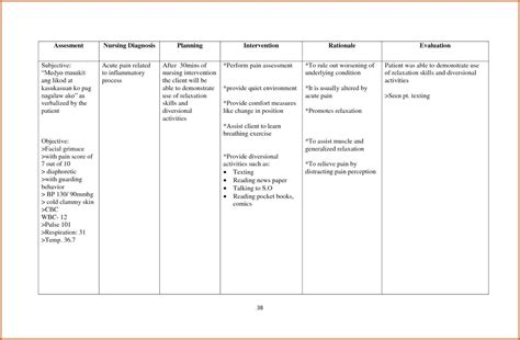 Nursing Care Plan Sample Pdf Blank Template Templates Free throughout Nursing Care Plan ...