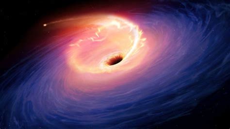 What Is The Difference Between Black Holes And Wormholes?