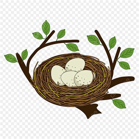 Schöne Vogelnest Clipart, Nest Clipart, Vogel Nest, Nest PNG und Vektor ...