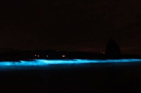 Bioluminescent Bay |Nicoya Gulf, Costa Rica - Bahia Rica Adventures | Fishing tours ...