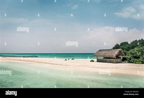 Amazing blue lagoon and tropical island in Maldives Stock Photo - Alamy