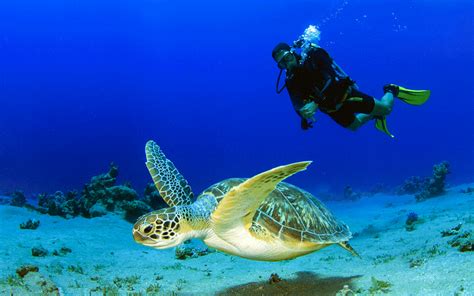 New Marine Sanctuary in the Galapagos Marine Reserve - Blog