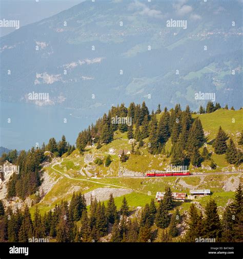 Cogwheel train of the Schynige Platte Railway descends towards ...