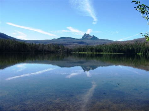 Marion Lake Trail, Central Cascade Range, Linn County, Oregon picture