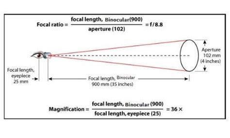 Binocular Magnification Chart 2022 | Step-By-Step Guide