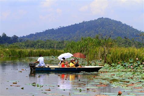 Chini Lake Malaysia - Images