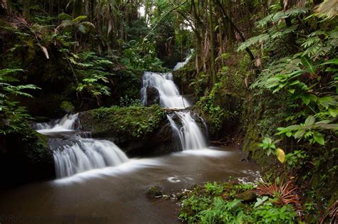 Hilo Hawaii Botanical Gardens – Beautiful Flower Arrangements and Flower Gardens