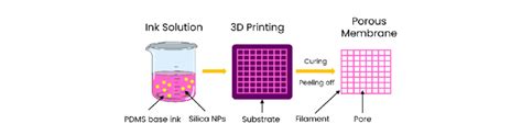 The schematic diagram of the porous membrane with nanosilica-filled... | Download Scientific Diagram