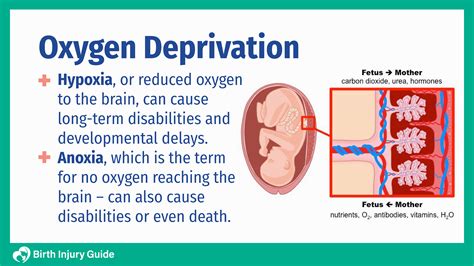 Guide To Oxygen Deprivation At Birth - Birth Injury Guide