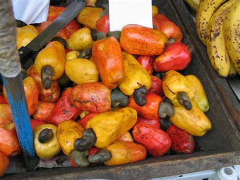 Cashew fruit | Food, Recipes, Cooking dinner