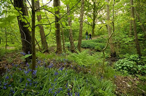 England's Community Forests