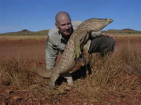 The Surprising Origin of Venom Revealed | Live Science