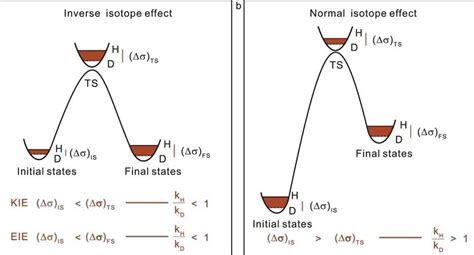 Difference Between Primary And Secondary Kinetic Isotope Effect - Relationship Between