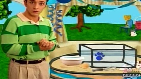 blue's clues happy birthday blue dailymotion - Val Polk