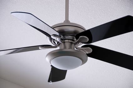 Ceiling Fan is Making a Clicking Noise - Electricians - TalkLocal Blog — Talk Local Blog