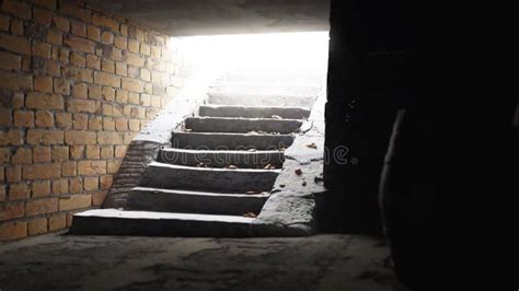 Abandoned Dark Basement with Stairs Stock Video - Video of journey ...