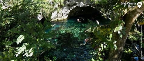 Snorkeling at Gran Cenote, Tulum | Snorkeling the Mayan Riviera