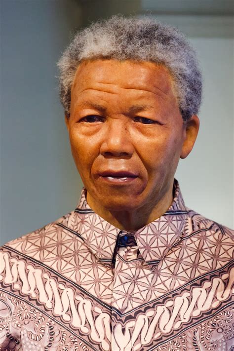 Nelson Mandela Free Stock Photo - Public Domain Pictures