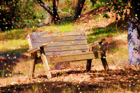 Autumn Bench Free Stock Photo - Public Domain Pictures