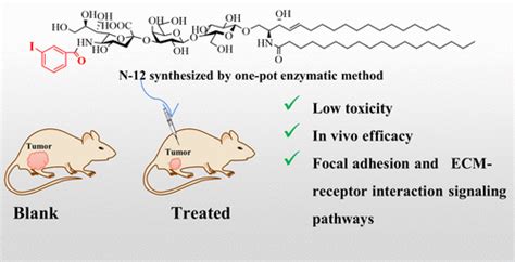 One-Pot Enzymatic Synthesis and Biological Evaluation of Ganglioside GM3 Derivatives as ...