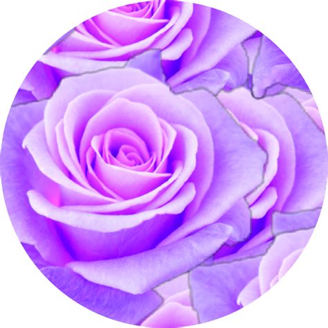 #purple #rose #circle #aesthetic - Aesthetic Purple Png, Transparent Png, png download ...