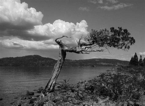 Nahuel Huapi National Park - Landscape - Photo.net