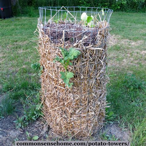 How To Build A Potato Tower - Outsiderough11