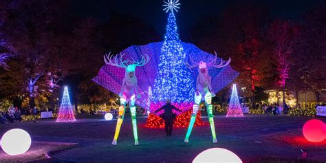 Bronx Zoo Holiday Lights 2025 | Everything you need to know! [UDPATE]