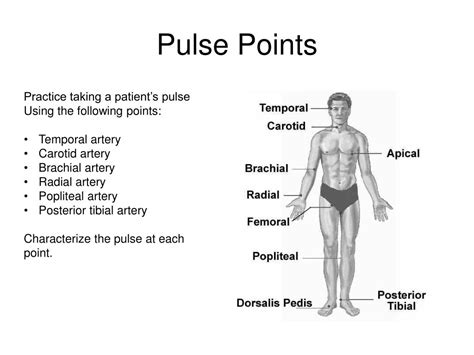 Identify 8 Pulse Points