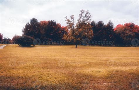 Trees in Autumn city park 11473330 Stock Photo at Vecteezy