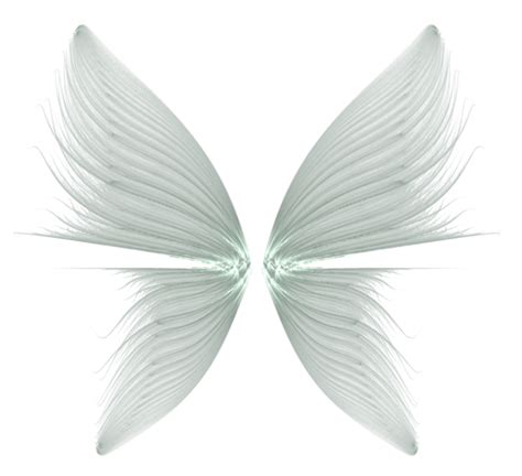 Butterfly Drawing Feather - Wings Transparent Background png download ...