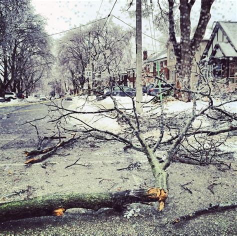 [PHOTOS] Massive Ice Storm Blankets Toronto And Eastern Canada