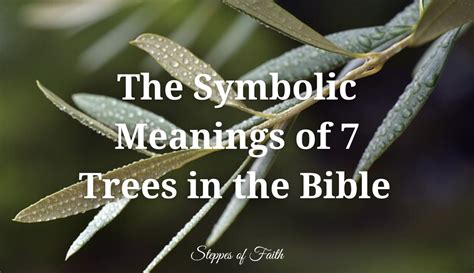 The Symbolic Meanings of 7 Trees in the Bible