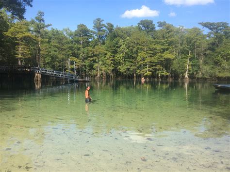 Morrison Springs Park – Walton County, Florida | Panhandle Outdoors