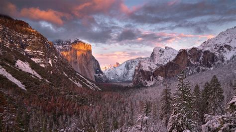 2560x1440 Yosemite National Park USA 4k 1440P Resolution ,HD 4k Wallpapers,Images,Backgrounds ...