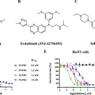 Pemigatinib is a potent FGFR1-3 inhibitor Chemical structures of ...