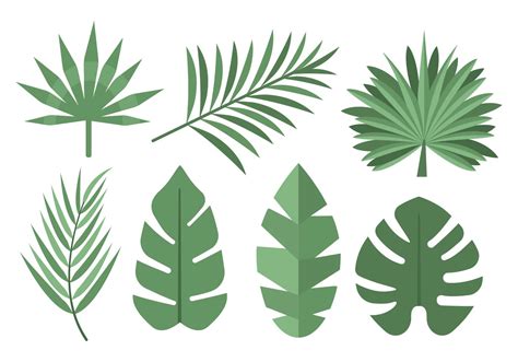 Tropical Palm Leaves Vector - Download Free Vector Art, Stock Graphics & Images