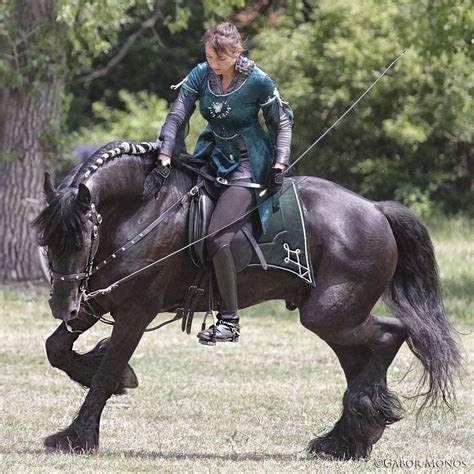 Friesian horse show a photo on flickriver – Artofit