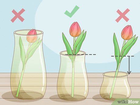 How to Care for Fresh Cut Tulips: 12 Steps (with Pictures)