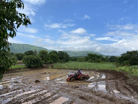 Agro tourism activities you can experience on an agro tourism farm ...