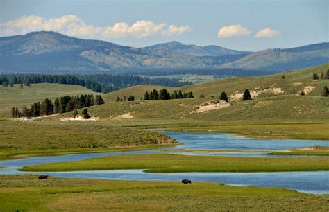 Yellowstone National Park - Cody Yellowstone