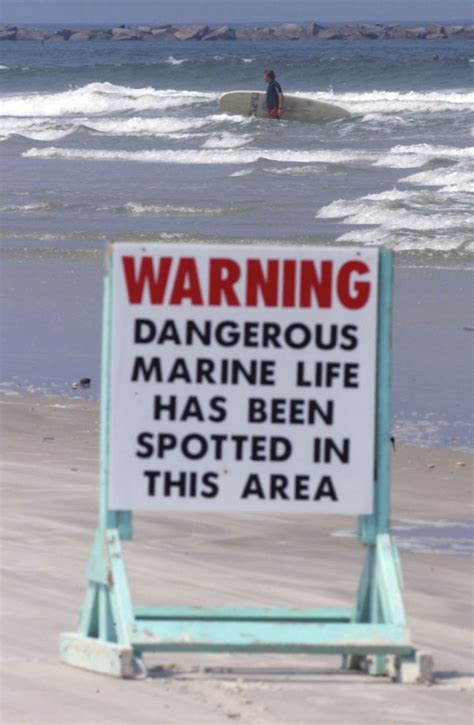 3 Surfers Attacked By Sharks Within Hours At Florida Beach | HuffPost