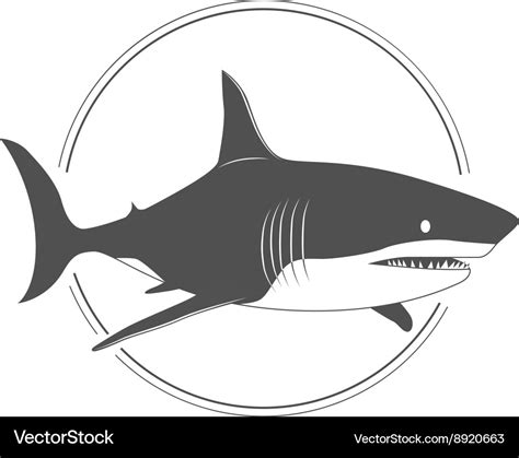 Big shark black and white silhouette i Royalty Free Vector