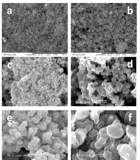 TEM micrographs of functionalized magnetite materials with Fe 3 O 4 ...