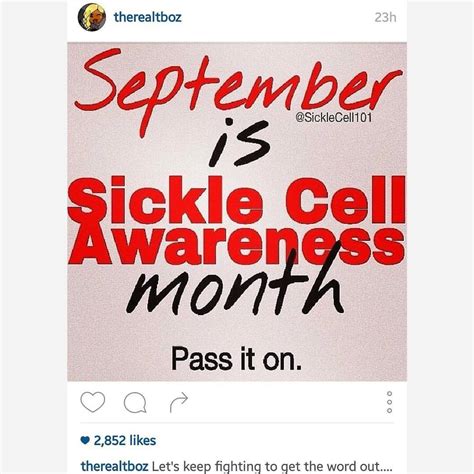 SICKLE CELL 101 — A huge #thankyou to T-boz @therealtboz for the...