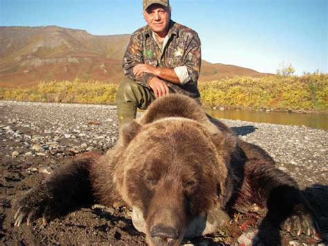 Grizzly Bear Hunting Gallery | Arctic North Guides