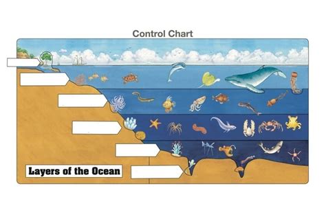 Vocabulary: Layers of the Ocean Diagram | Quizlet