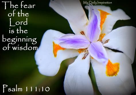 The fear of the Lord is the beginning of wisdom